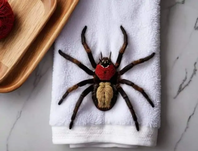 embroidery applique design spider