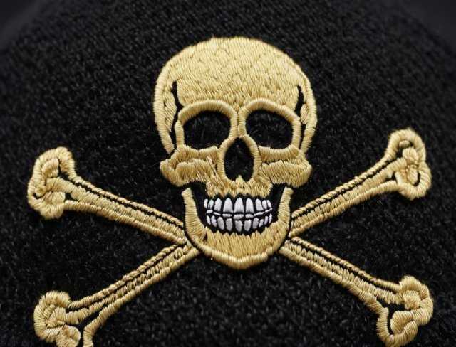 felt fabric skull and crossbones