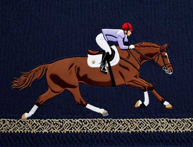 horse embroidery endurance