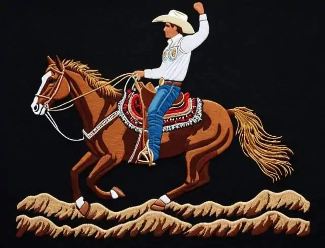 horse embroidery rodeo