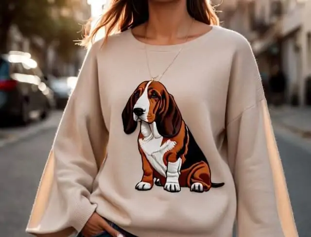sweater embroidery bell sleeve