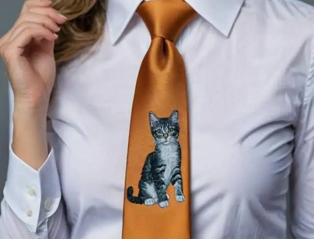 embroidered necktie kitten